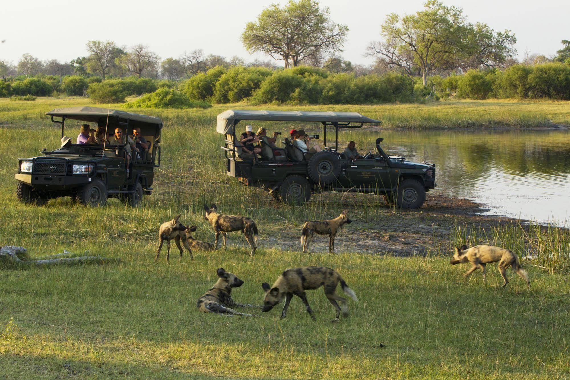Selinda Camp 호텔 Selinda Reserve 외부 사진