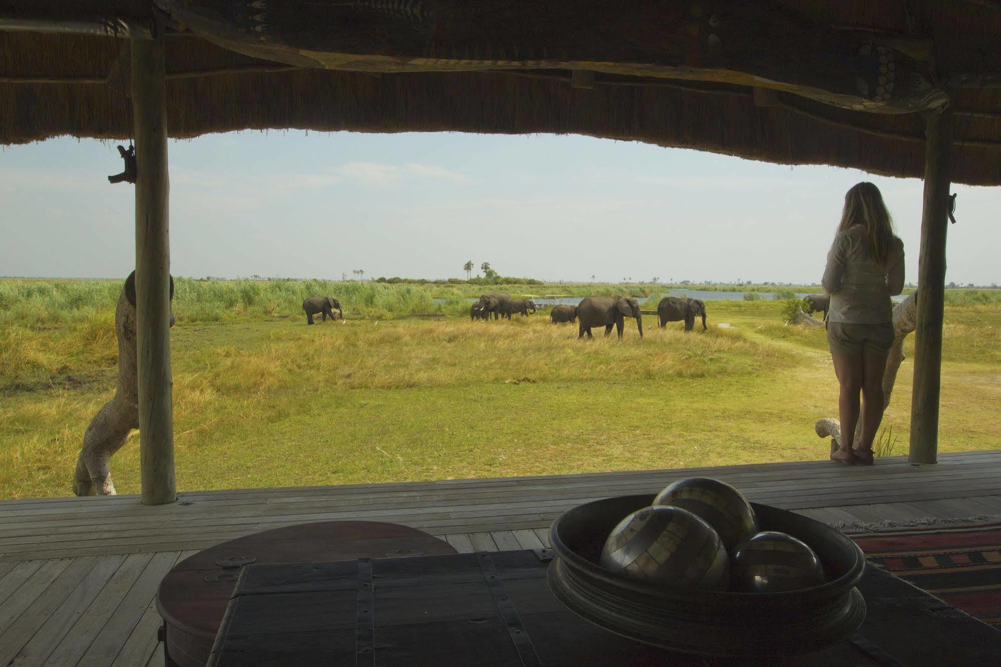 Selinda Camp 호텔 Selinda Reserve 외부 사진